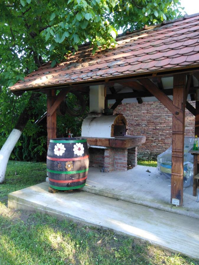 Umjetnicka Etno Kuca Luka Apartman Podravske Sesvete Kültér fotó