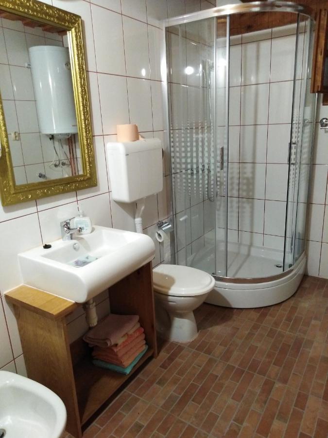Umjetnicka Etno Kuca Luka Apartman Podravske Sesvete Kültér fotó